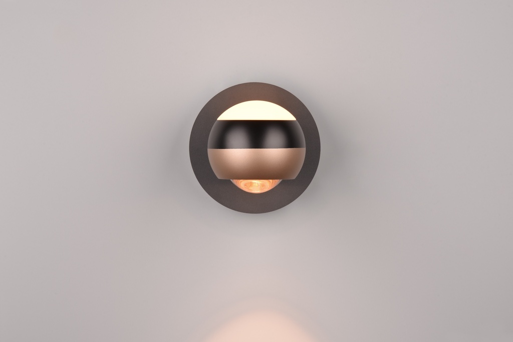 244410132_11