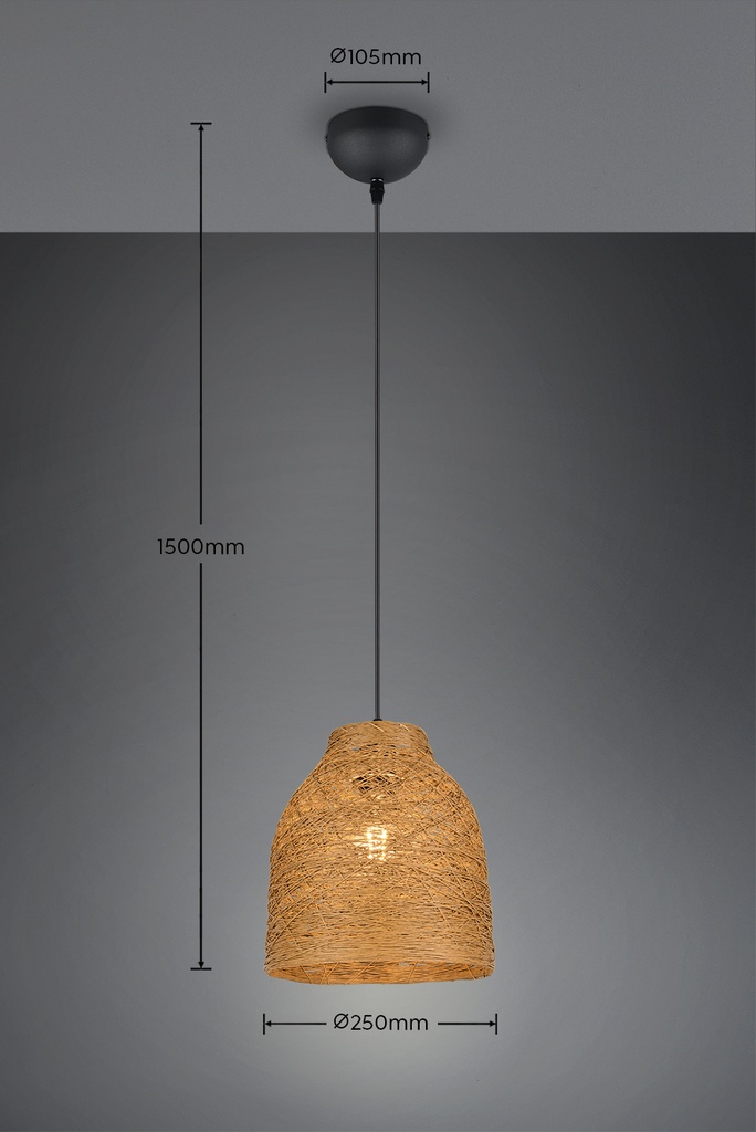 R31731026_09