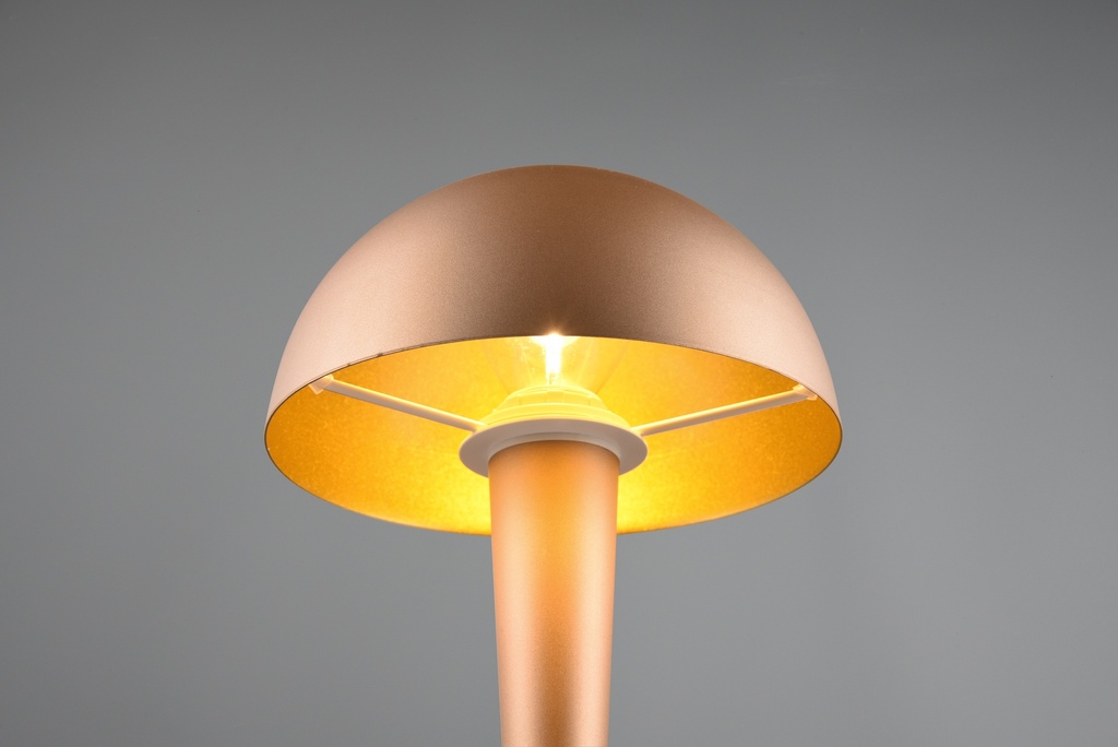 R59561165_06