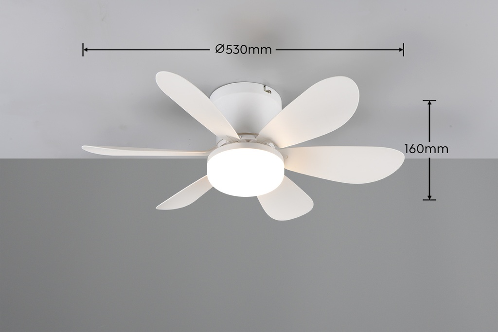 R67462131_05