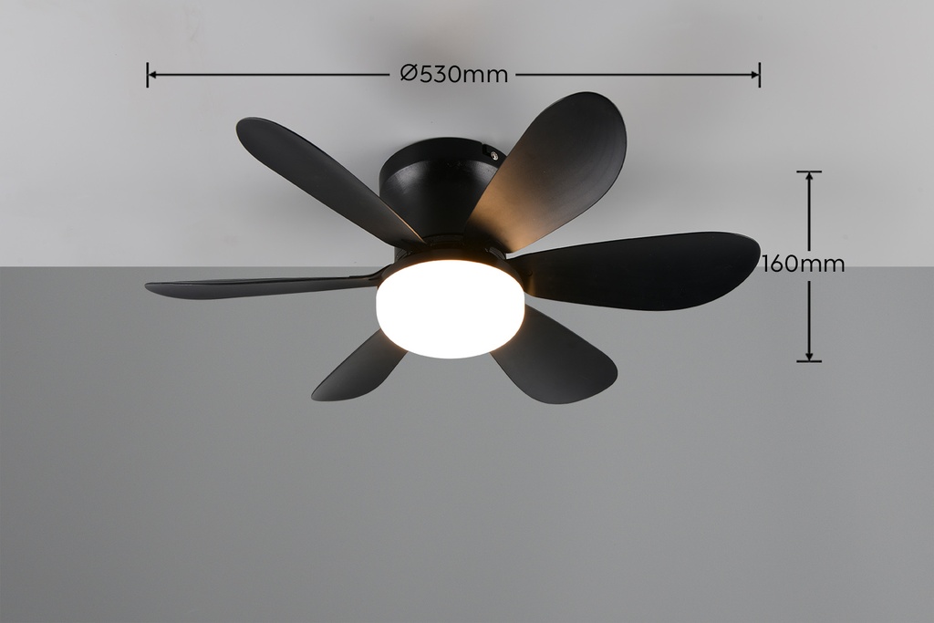 R67462132_05