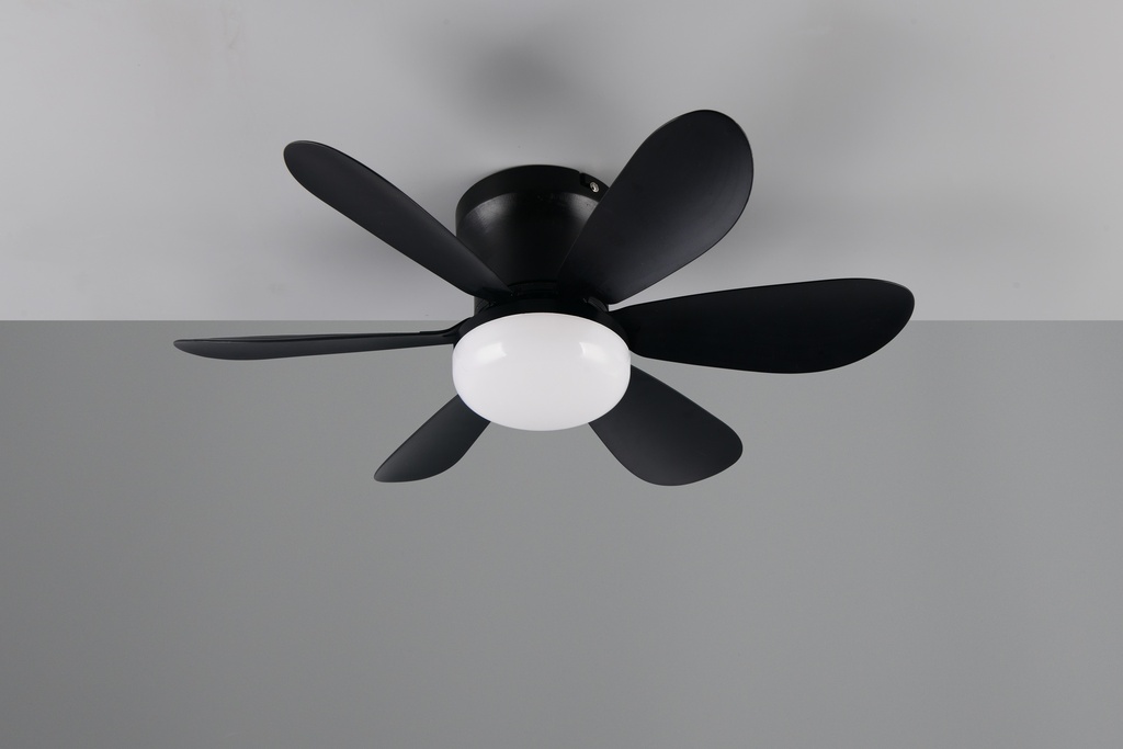 R67462132_07