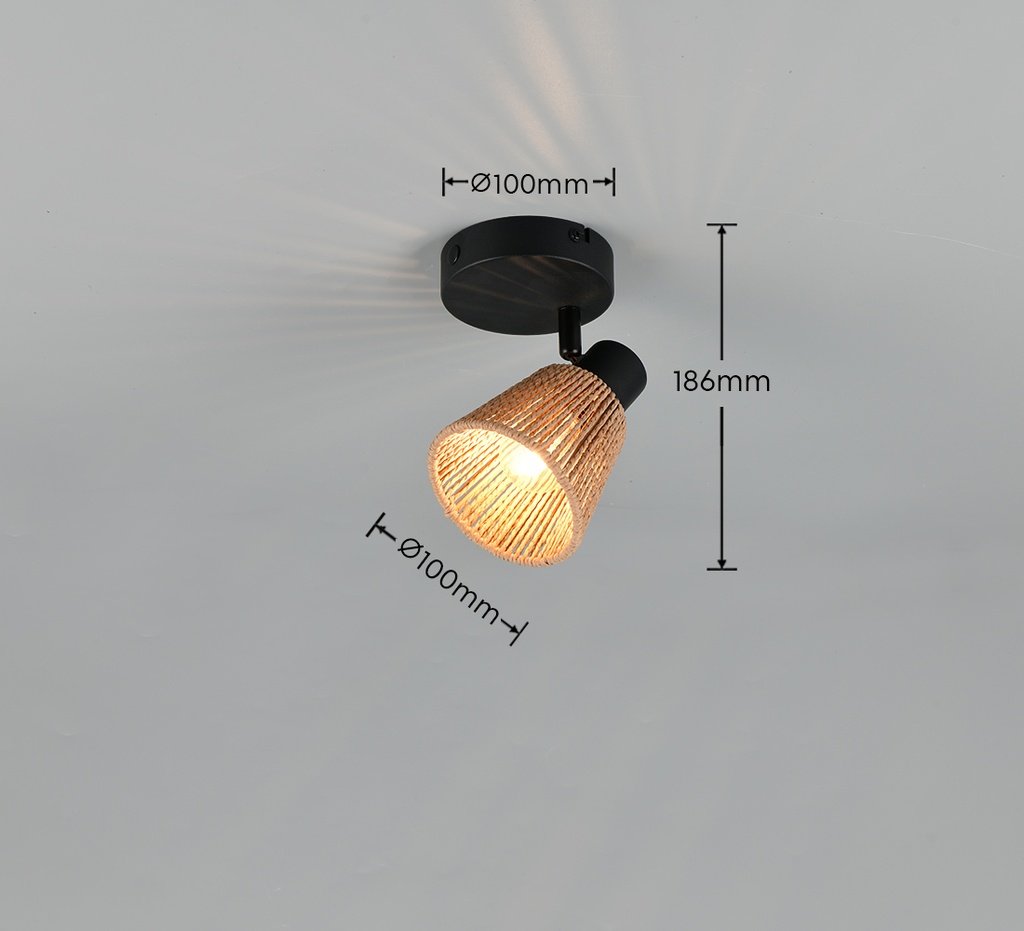 R86491036_08
