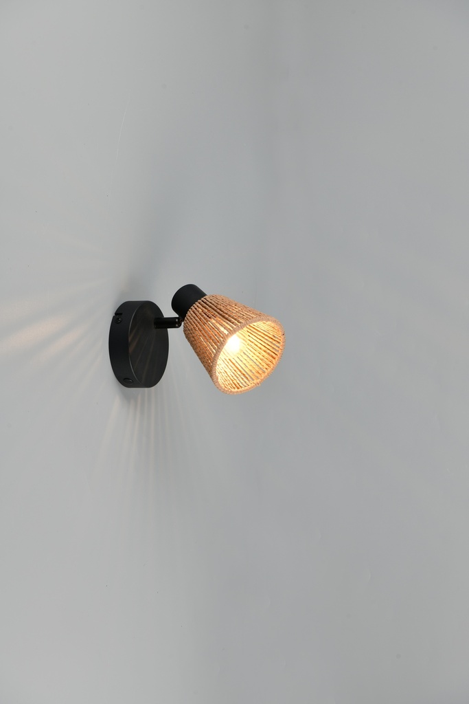 R86491036_09