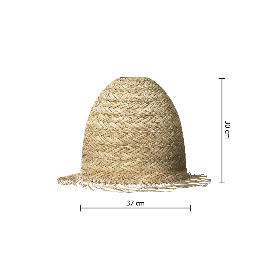 202660_06_DIM1
