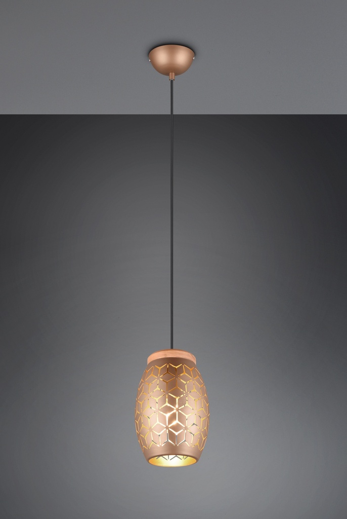 BIDAR Suspension - Pendant 1xE27 28W 470 lm 2700K IP20 0x150x15x0cm