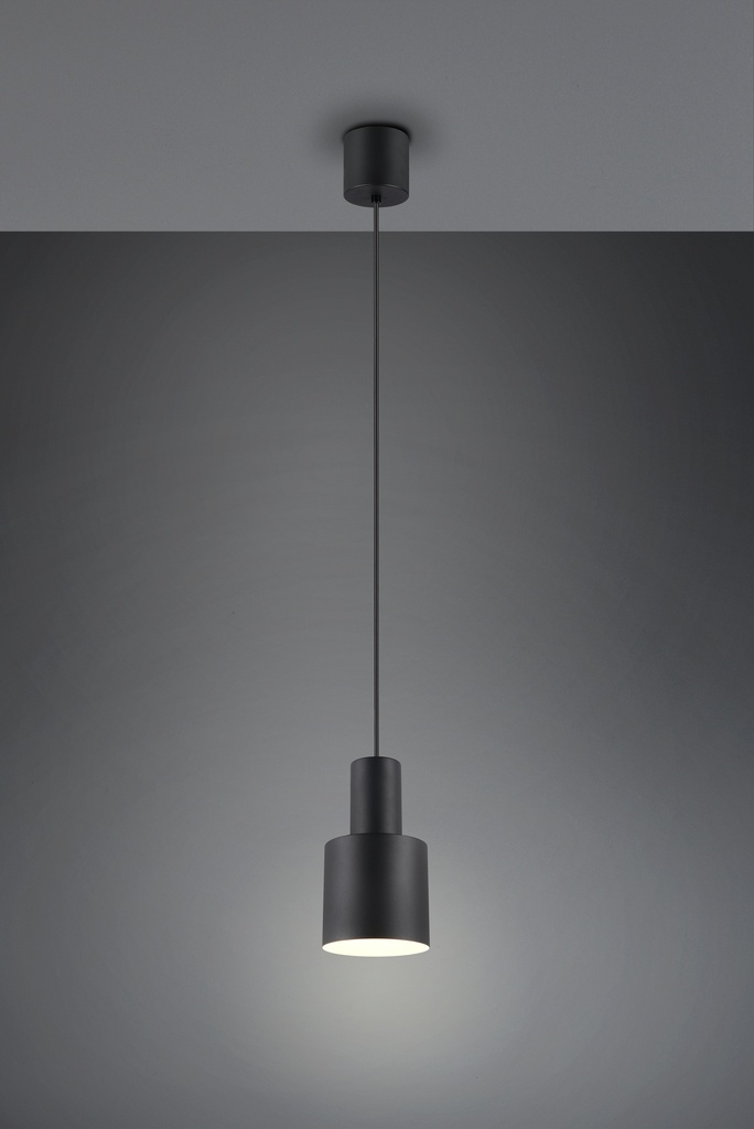 [319400132] AGUDO Suspension - Pendant 1E27 10 470 2700K IP20 0150120