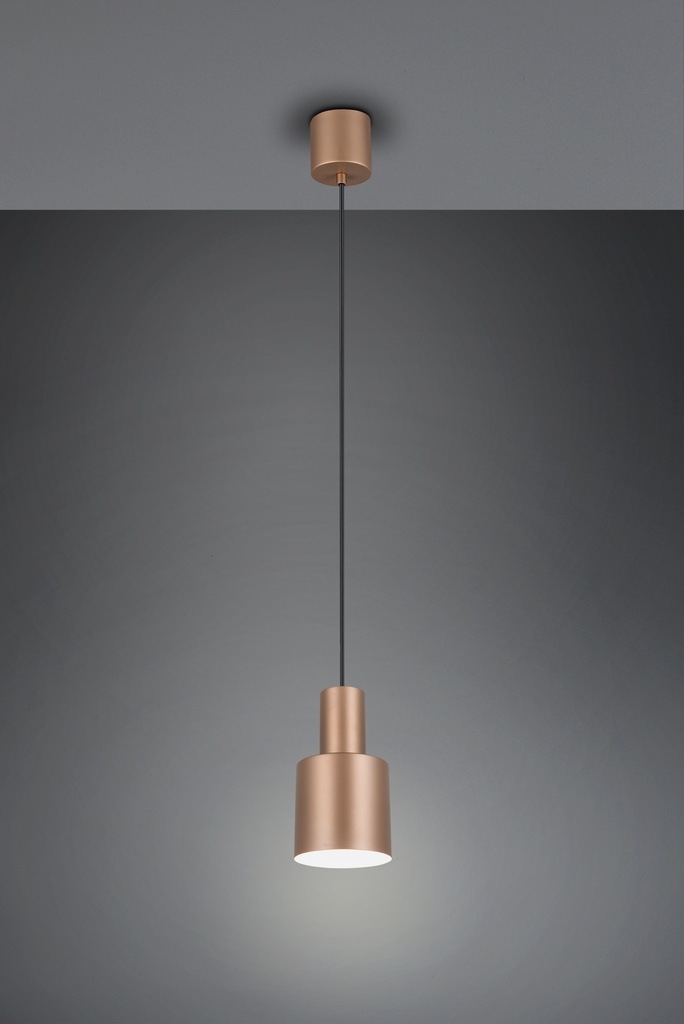 [319400165] AGUDO Suspension - Pendant 1E27 10 470 2700K IP20 0150120